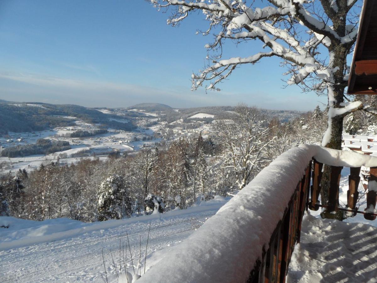 Chalet Les Moraines 8 Le Tholy Bagian luar foto