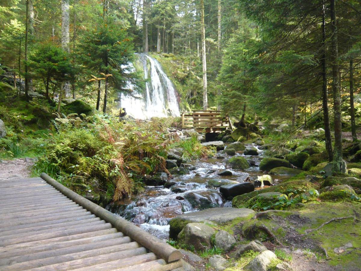 Chalet Les Moraines 8 Le Tholy Bagian luar foto