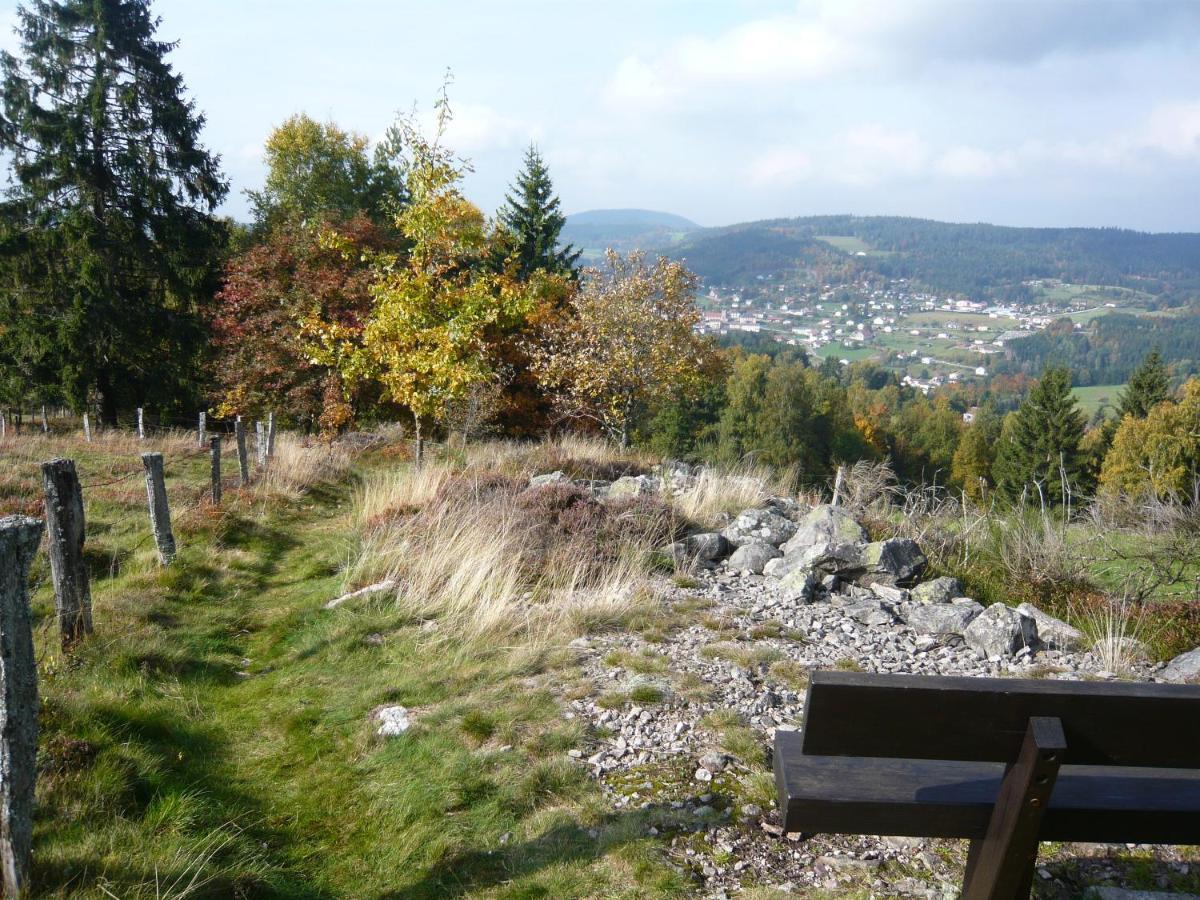 Chalet Les Moraines 8 Le Tholy Bagian luar foto